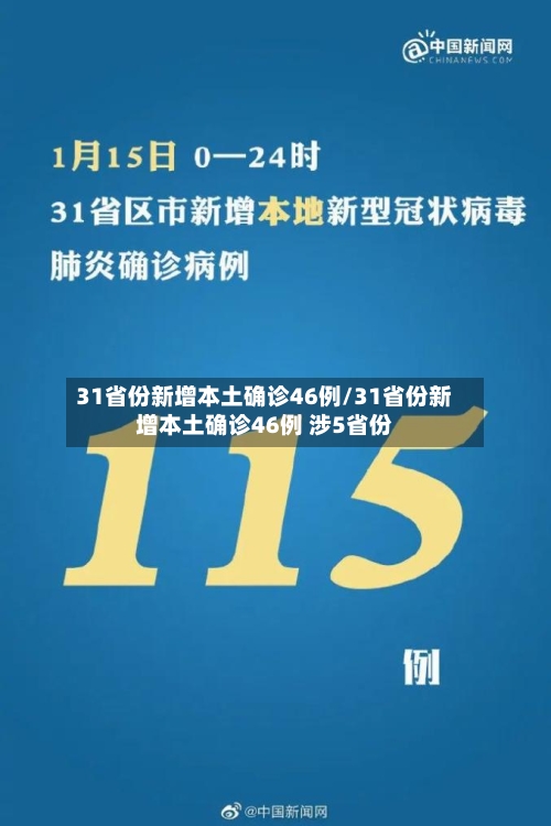 31省份新增本土确诊46例/31省份新增本土确诊46例 涉5省份