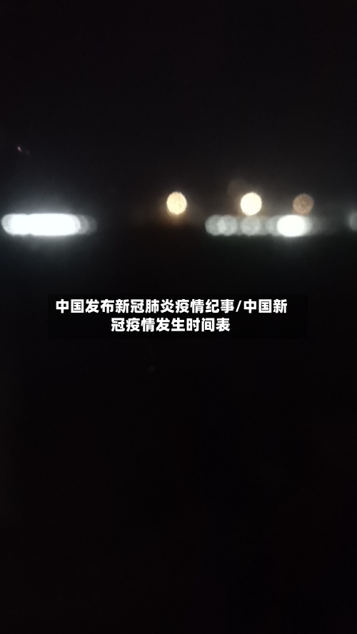 中国发布新冠肺炎疫情纪事/中国新冠疫情发生时间表