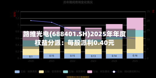 路维光电(688401.SH)2025年年度权益分派:每股派利0.40元-第2张图片