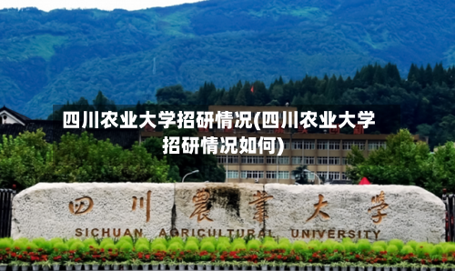 四川农业大学招研情况(四川农业大学招研情况如何)-第3张图片